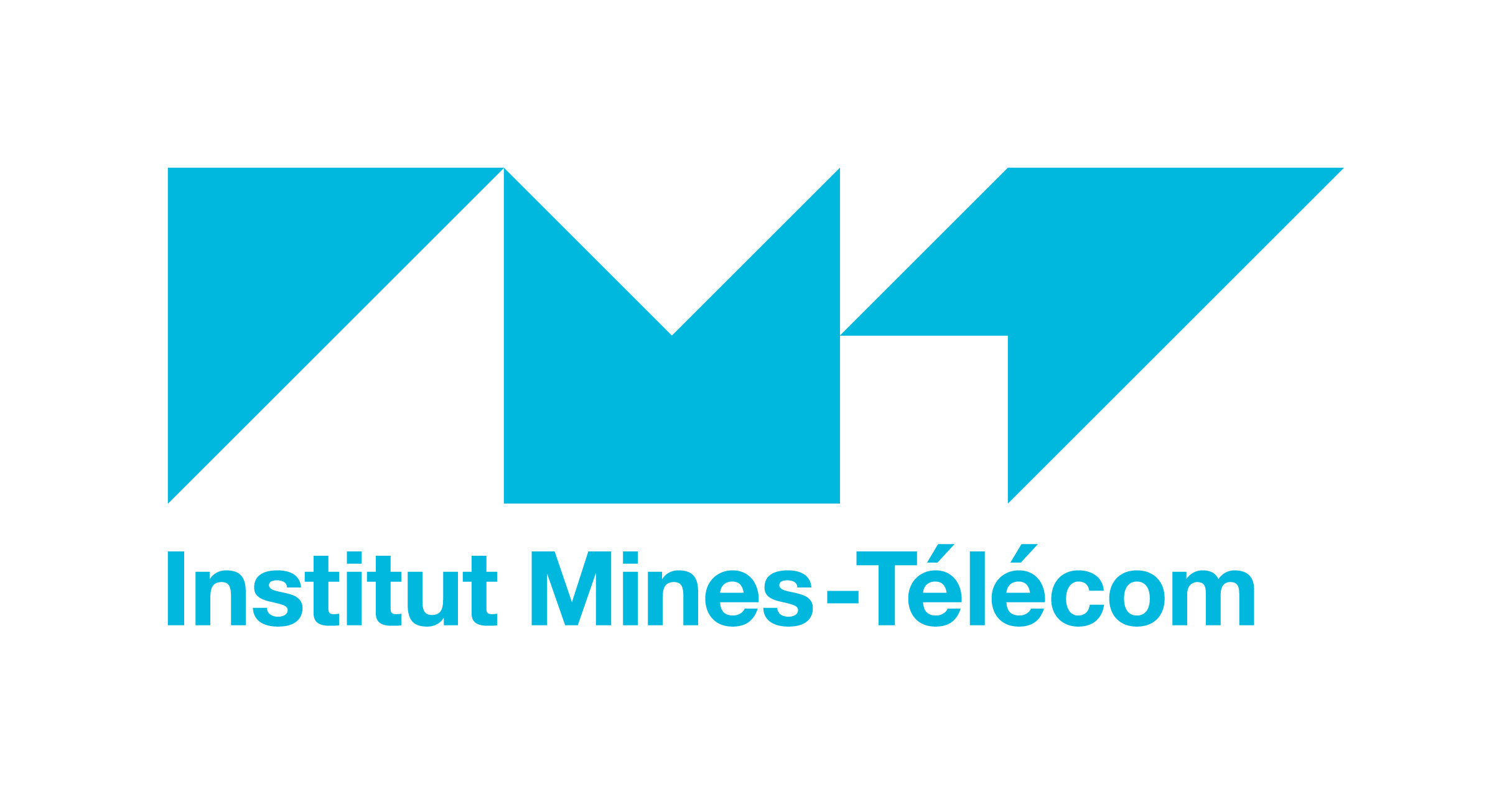 Institut Mines Telecom